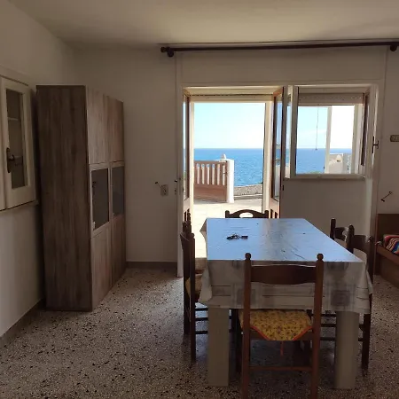 Cordella 3